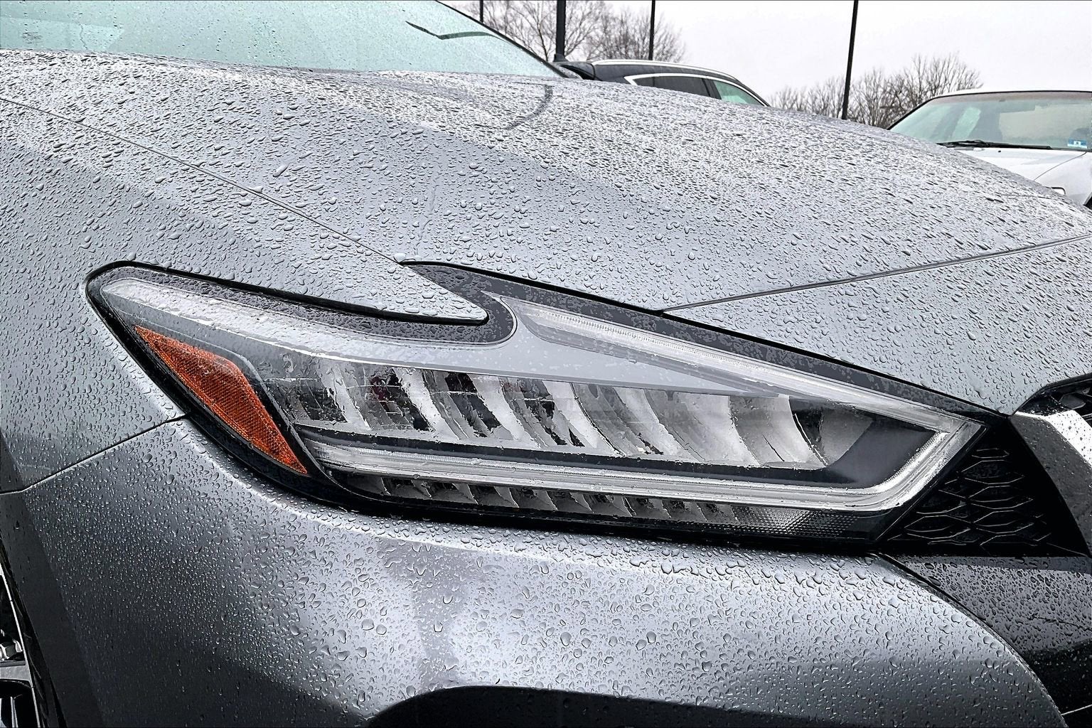 2023 Nissan Maxima SV