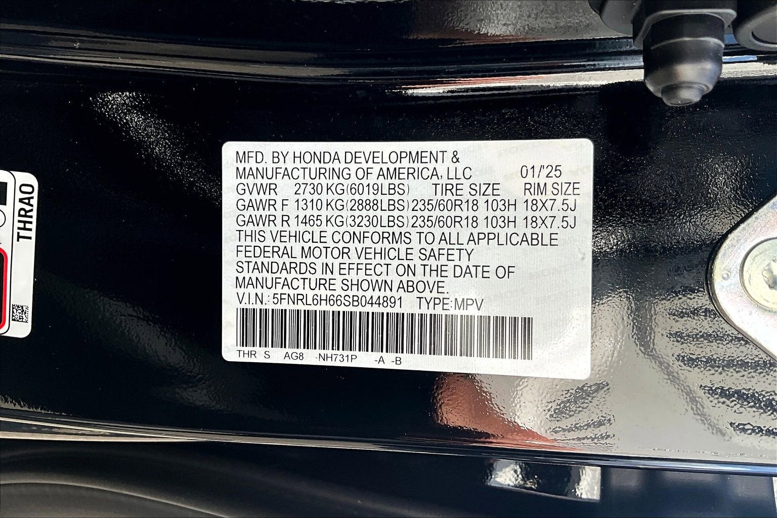 2025 Honda Odyssey EX-L