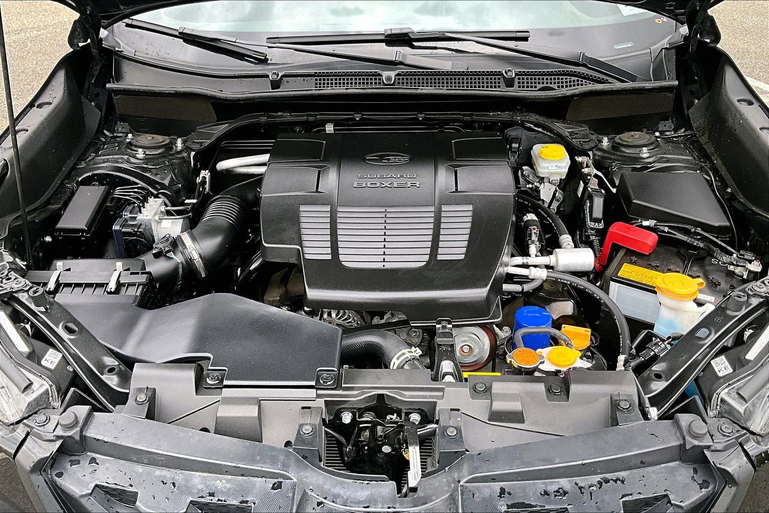 2024 Subaru Forester Wilderness