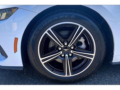 2024 Ford Mustang Eco Premium
