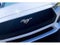 2024 Ford Mustang Eco Premium