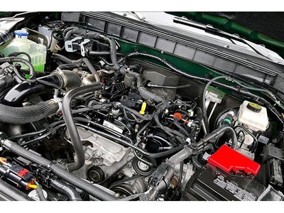 2024 Ford Bronco Everglades