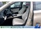 2019 Honda Accord Sedan EX-L 1.5T