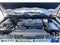2024 INFINITI QX80 SENSORY 4WD