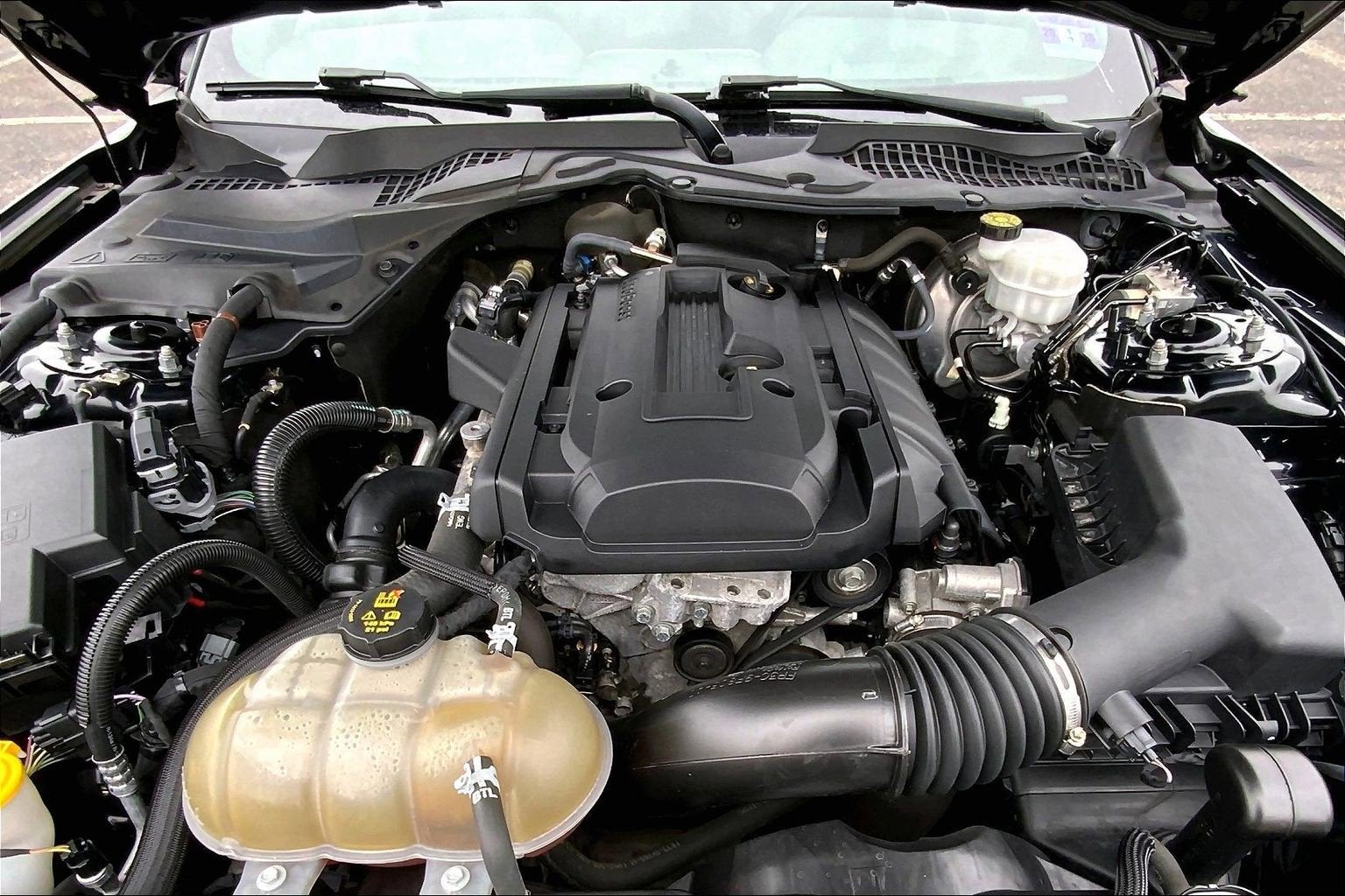 2019 Ford Mustang Eco